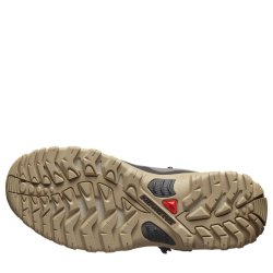 Черевики Salomon Shelter WP W - сірі