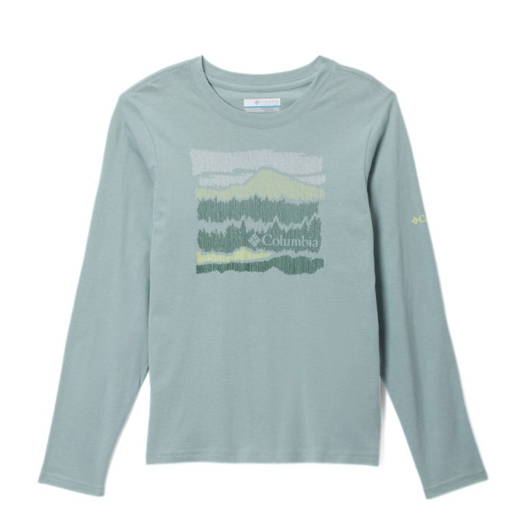 Кофта Columbia Dobson Pass™ LS Graphic Tee J - синя