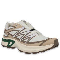 Кросівки Salomon XT-Evr W - бежеві