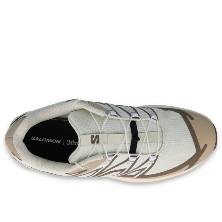 Кросівки Salomon XT-Evr W - бежеві