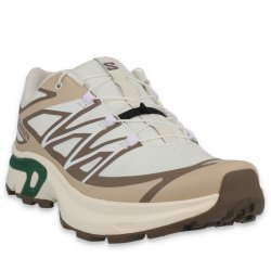 Кросівки Salomon XT-Evr W - бежеві