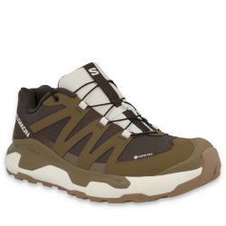 Черевики Salomon XC Roam GTX M - коричневі