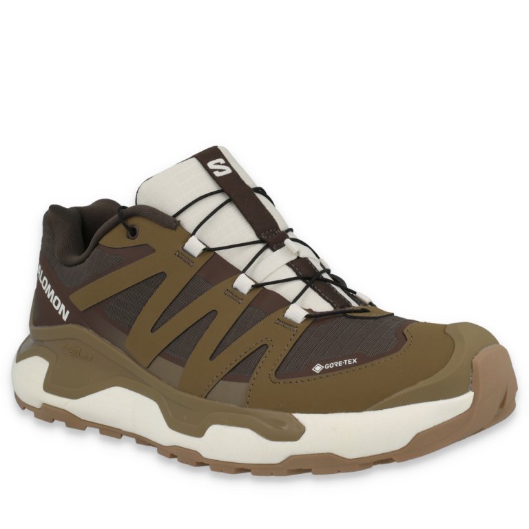 Черевики Salomon XC Roam GTX M - коричневі