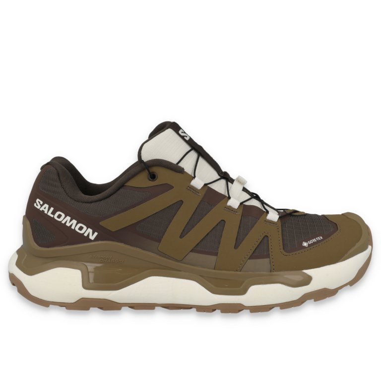 Черевики Salomon XC Roam GTX M - коричневі