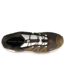 Черевики Salomon XC Roam GTX M - коричневі