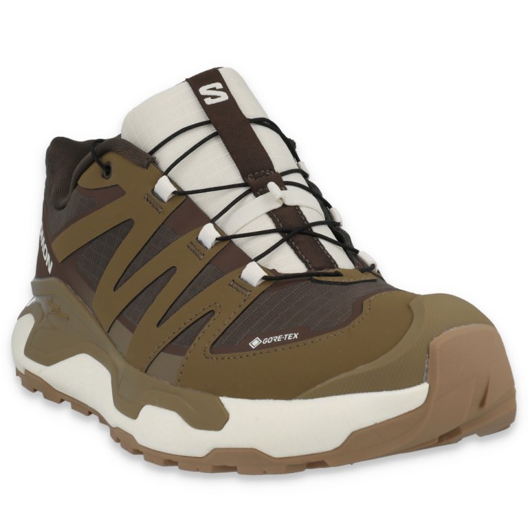 Черевики Salomon XC Roam GTX M - коричневі