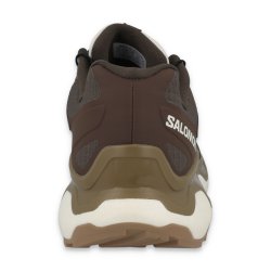 Черевики Salomon XC Roam GTX M - коричневі