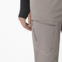 Штани Salomon Wayfarer Warm Pants W - коричневі (стандартна довжина)