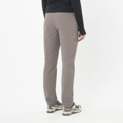 Штани Salomon Wayfarer Warm Pants W - коричневі (стандартна довжина)