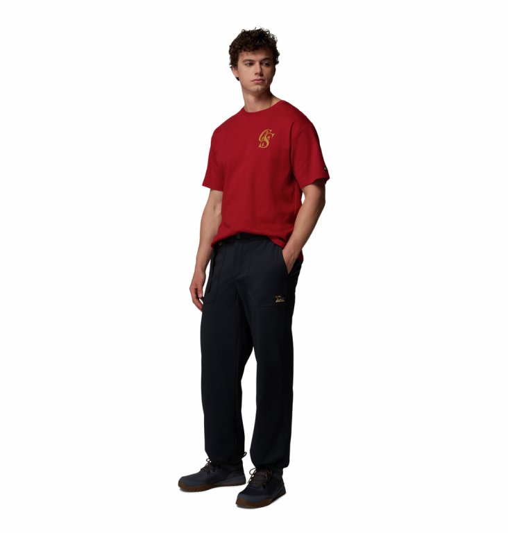 Штани Columbia High Cascades™ Softshell Pant M - чорні