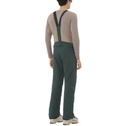 Штани Salomon Edge Pant M - зелені
