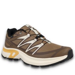 Кросівки Salomon XT-Evr GTX M - коричневі