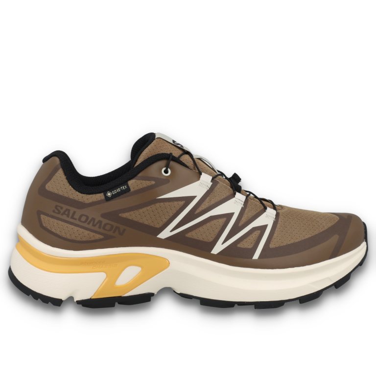 Кросівки Salomon XT-Evr GTX M - коричневі