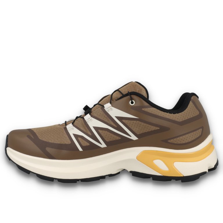 Кросівки Salomon XT-Evr GTX M - коричневі