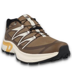 Кросівки Salomon XT-Evr GTX M - коричневі