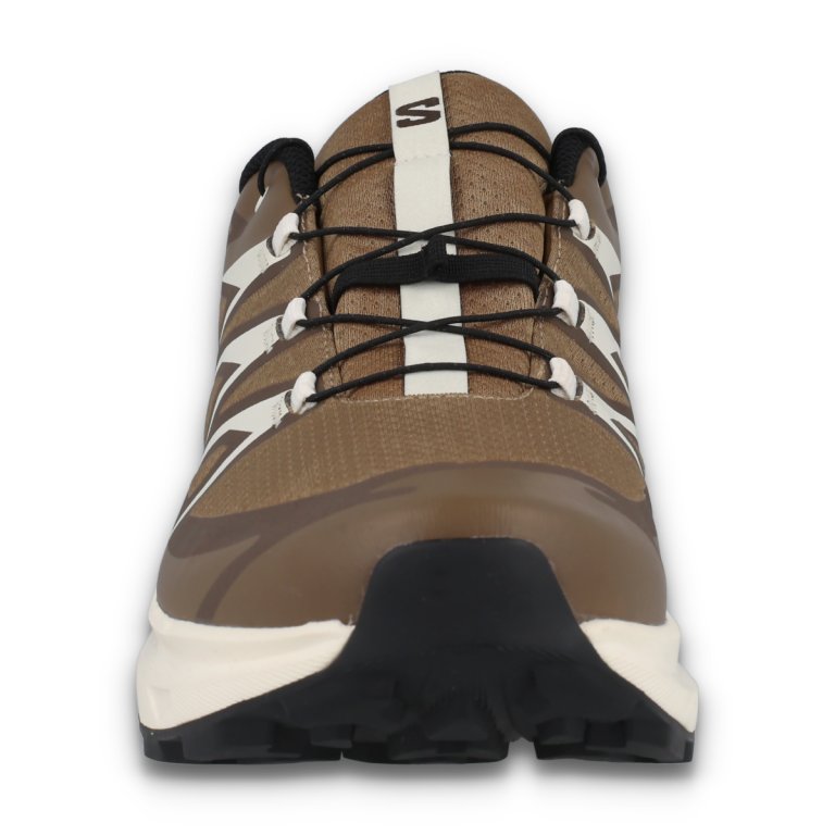 Кросівки Salomon XT-Evr GTX M - коричневі