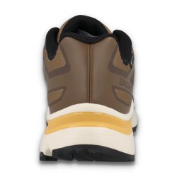 Кросівки Salomon XT-Evr GTX M - коричневі