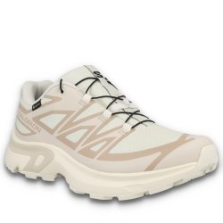 Кросівки Salomon XT-Evr GTX W - бежеві