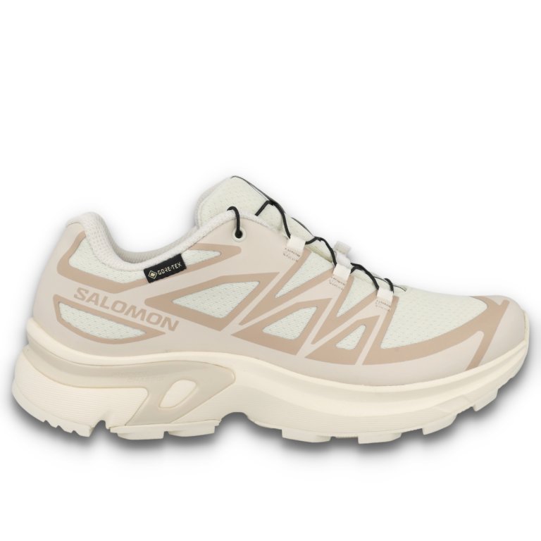 Кросівки Salomon XT-Evr GTX W - бежеві