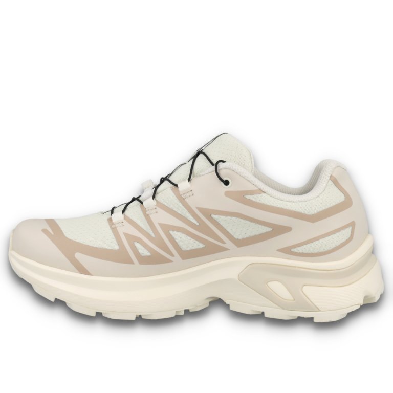 Кросівки Salomon XT-Evr GTX W - бежеві