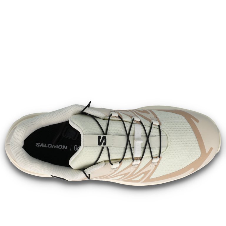 Кросівки Salomon XT-Evr GTX W - бежеві