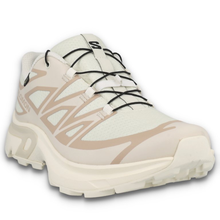 Кросівки Salomon XT-Evr GTX W - бежеві