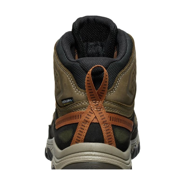 Черевики Keen Targhee IV Mid WP M - коричневі