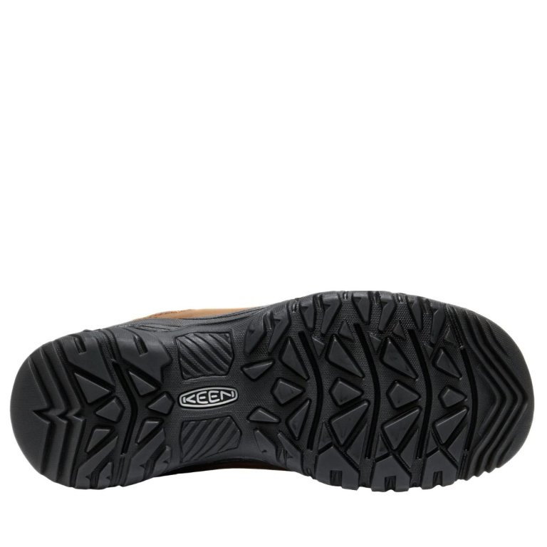Взуття Keen Anchorage Boot IV WP M - коричневе
