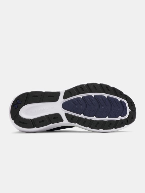 Obuv Under Armour Charged Rogue 5 Man Blue