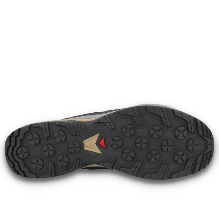 Черевики Salomon X-Adventure Coldrush WP M - коричнево/чорні