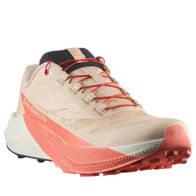 Кросівки Salomon Pulsar W - бежово/рожеві