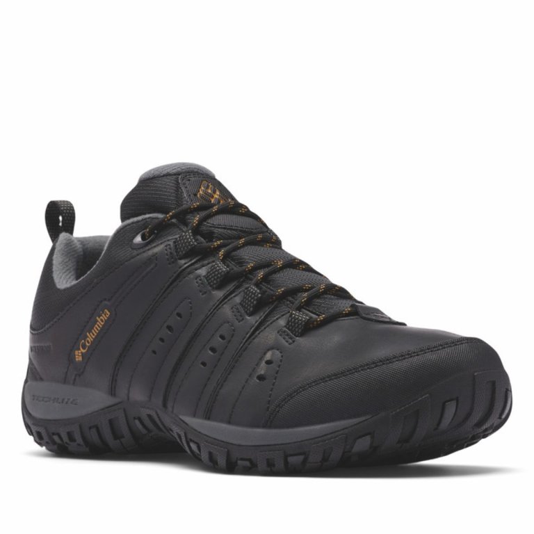 Черевики Columbia Woodburn™ II Waterproof M - чорно/коричневі