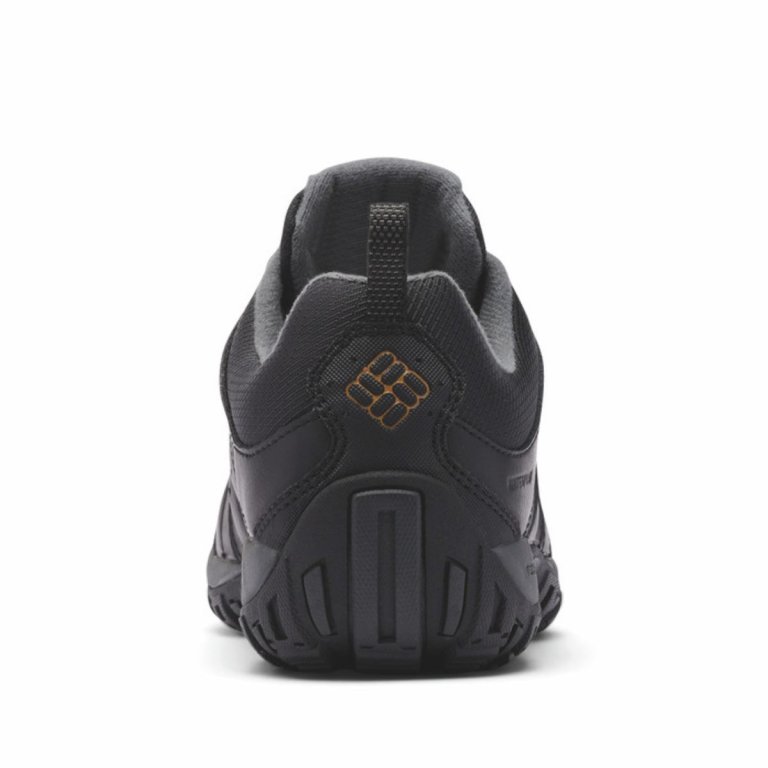 Черевики Columbia Woodburn™ II Waterproof M - чорно/коричневі