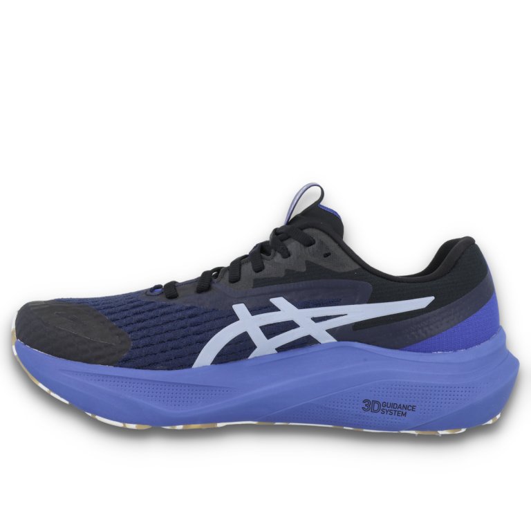 Кросівки Asics GT-2000 14 Lite-Show M - синьо/чорні