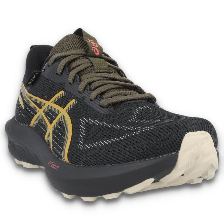 Кросівки Asics GT-1000 14 GTX W - чорні
