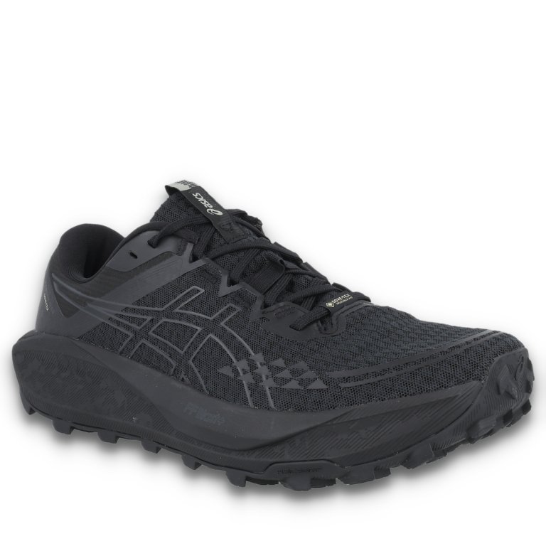 Кросівки Asics Gel-Trabuco 13 GTX M - чорний / сірий