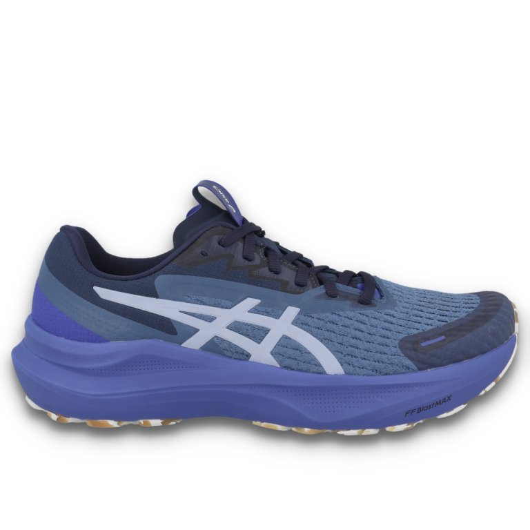 Кросівки Asics GT-2000 14 Lite-Show W - синьо/фіолетові
