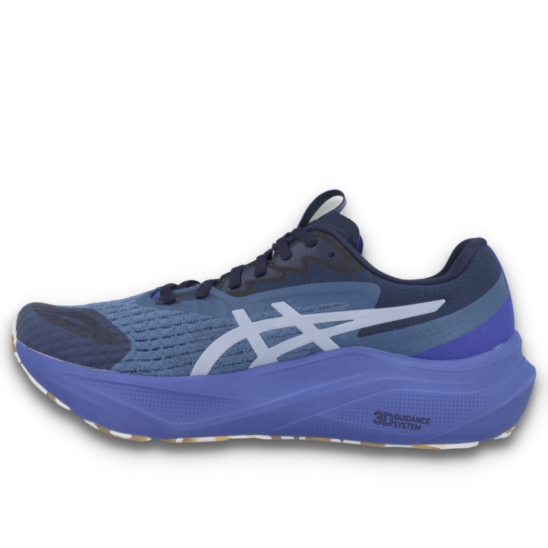 Кросівки Asics GT-2000 14 Lite-Show W - синьо/фіолетові