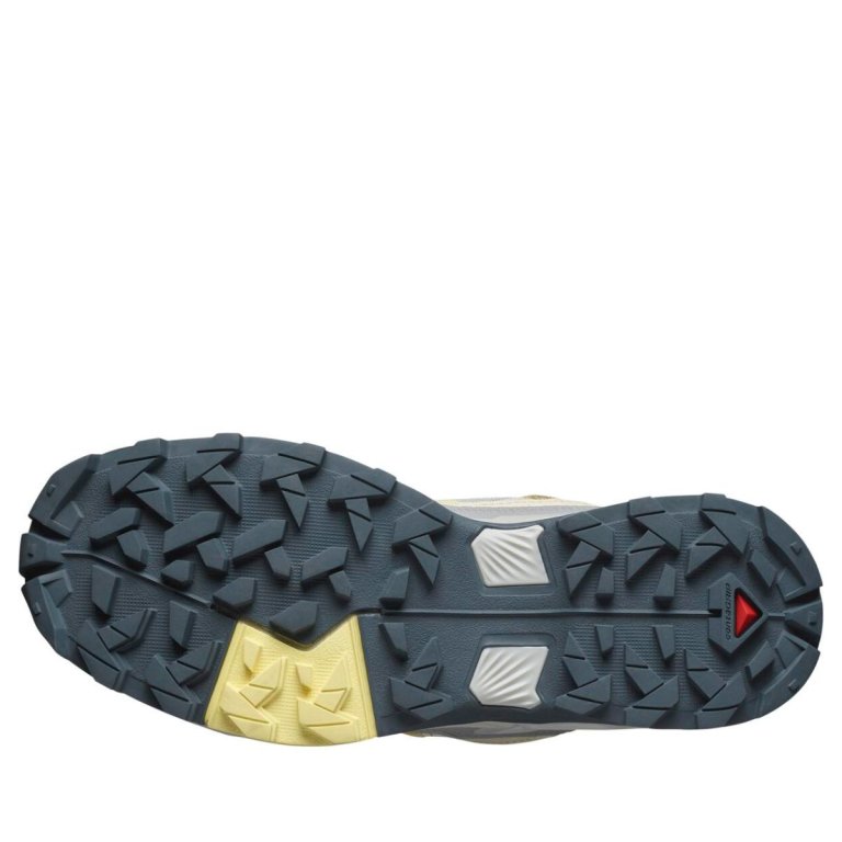 Кросівки Salomon X Ultra 5 W - бежевий