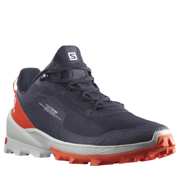 Кросівки Salomon CROSS OVER M - сині