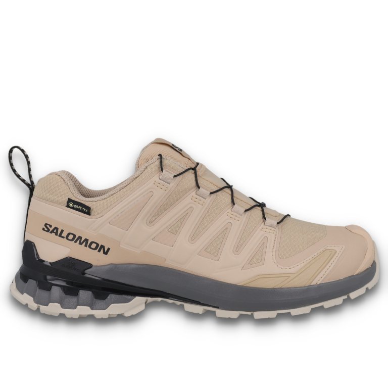 Кросівки Salomon Xa Pro 3D V9 GTX M - бежеві