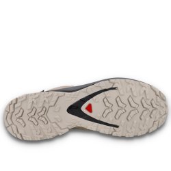 Кросівки Salomon Xa Pro 3D V9 GTX M - бежеві