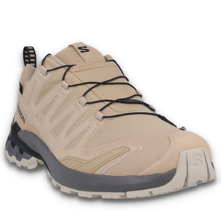 Кросівки Salomon Xa Pro 3D V9 GTX M - бежеві