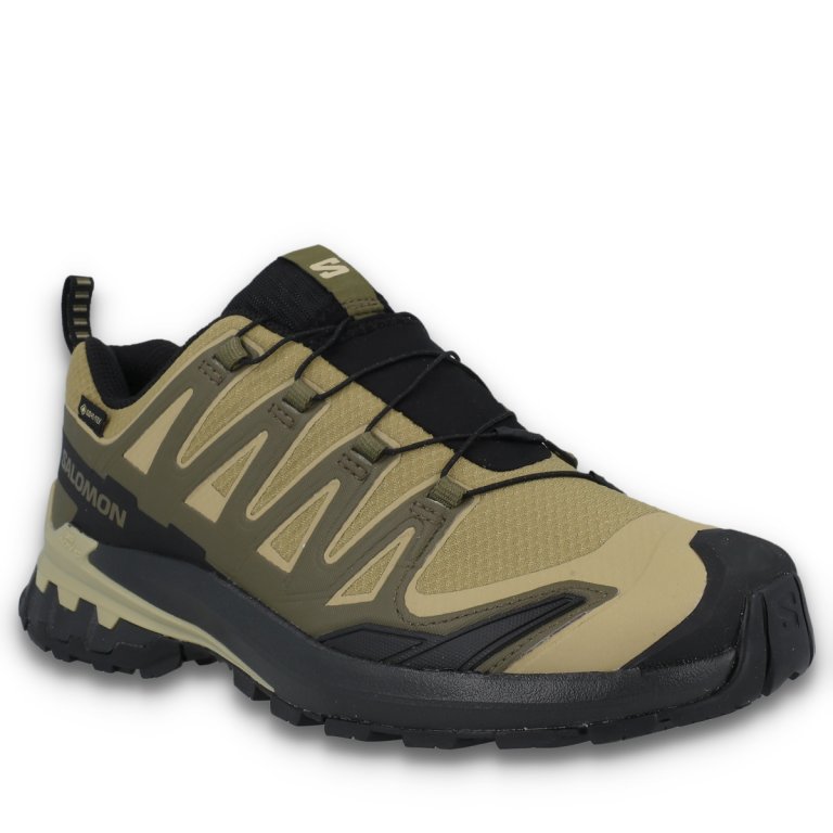 Взуття Salomon Xa Pro 3D V9 GTX M - зелений/бежевий