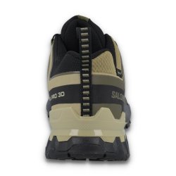 Взуття Salomon Xa Pro 3D V9 GTX M - зелений/бежевий