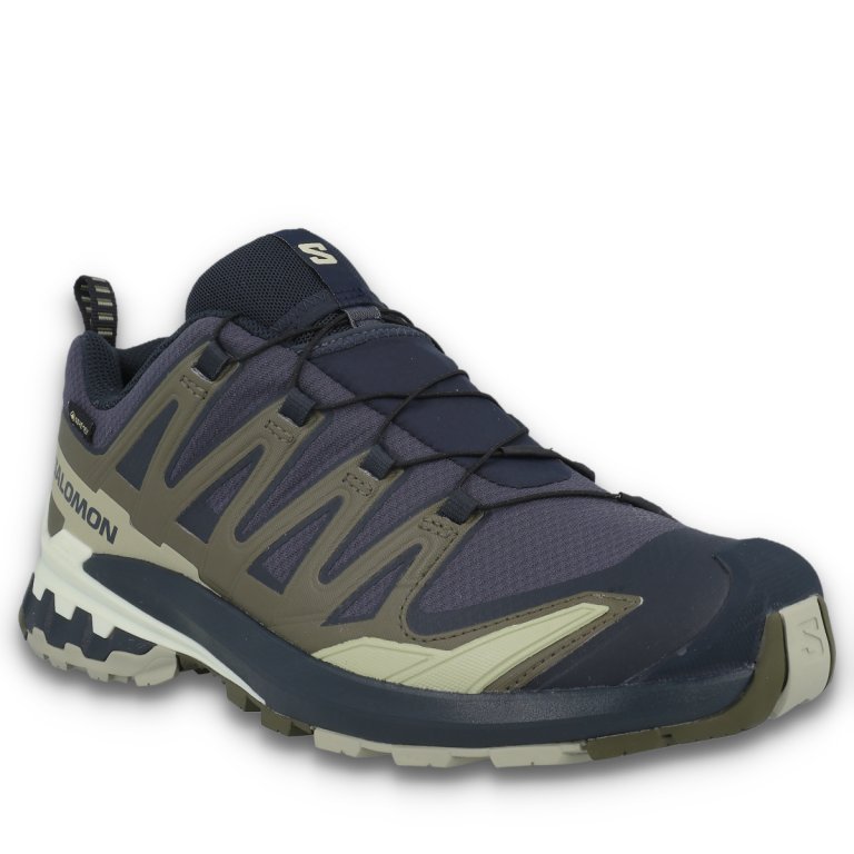 Obuv Salomon XA PRO 3D V9 GTX M - zelená/modrá
