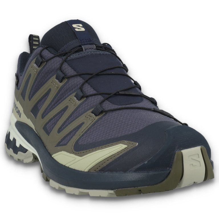 Obuv Salomon XA PRO 3D V9 GTX M - zelená/modrá