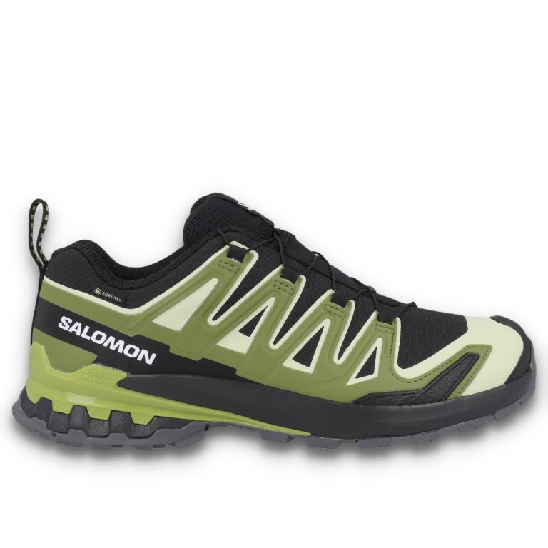 Кросівки Salomon Xa Pro 3D V9 GTX M - чорний/зелений