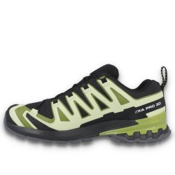 Кросівки Salomon Xa Pro 3D V9 GTX M - чорний/зелений