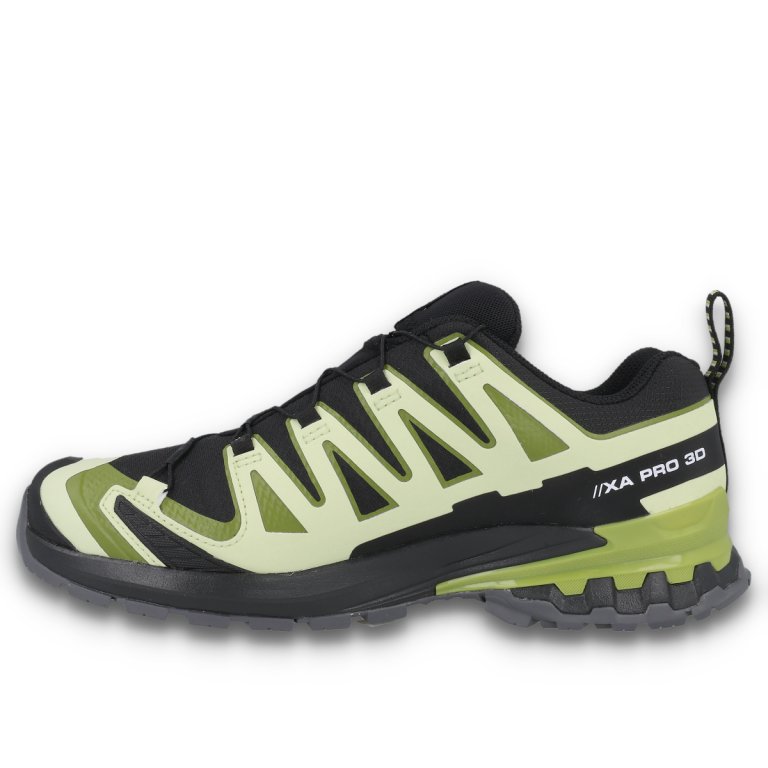 Кросівки Salomon Xa Pro 3D V9 GTX M - чорний/зелений